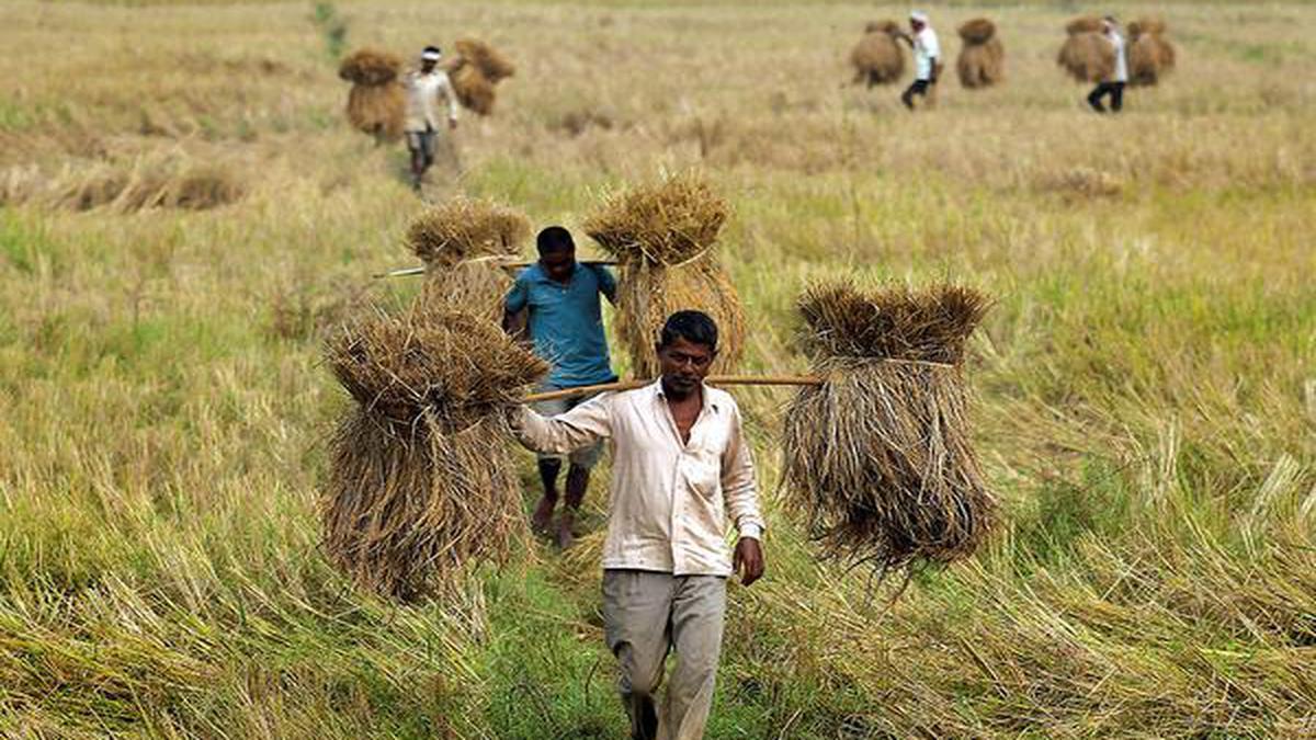 Indian Ag Tech Ecosystem is ready to explode and transform our agriculture